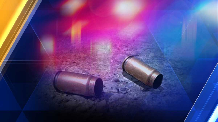 West Va. woman with pistol kills gunman at a kids party